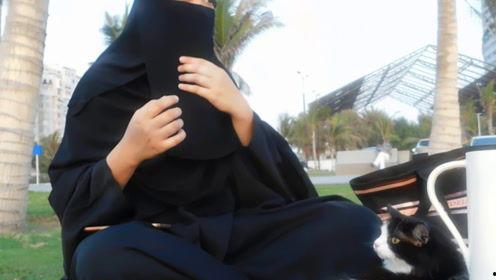 娱乐吃瓜君醉酒,娱乐圈幕后真相大揭秘